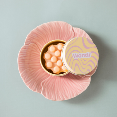 MINI BOÎTE DE RANGEMENT ET DE VOYAGE WONDR